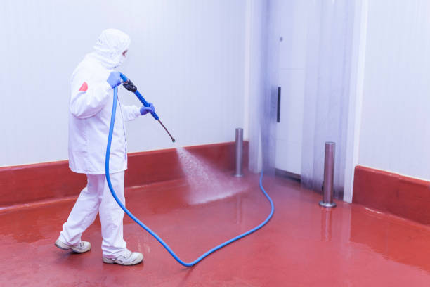 Best Fleet Vehicle Washing  in Safety Harbor, FL