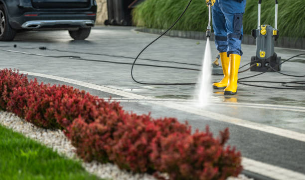 Best Roof Washing  in Safety Harbor, FL